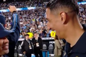 蜘蛛直播-蜘蛛直播nba高清无插件_蜘蛛直播nba免费高清现场转播